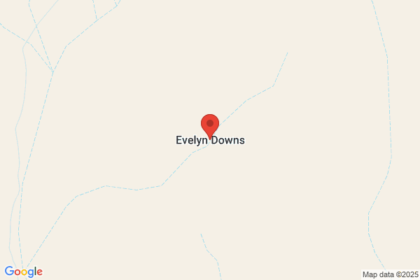 Evelyn Downs Pastoral Co Pty Ltd
