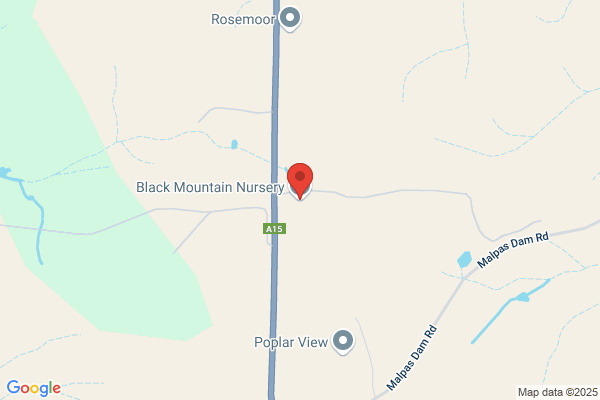 Black Mountain Nursery