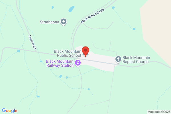 Black Mountain Public School