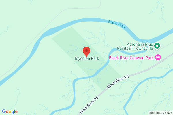Joycelen Park