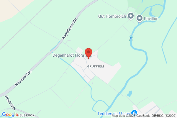 Degenhardt D F