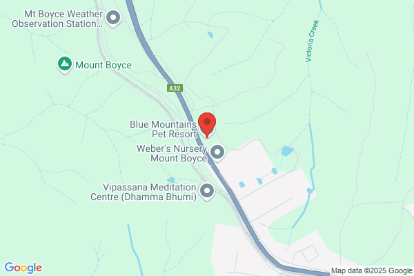 Blue Mountains Pet Resort