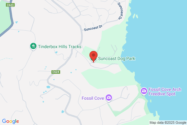Kingsborough Dog Walking Association