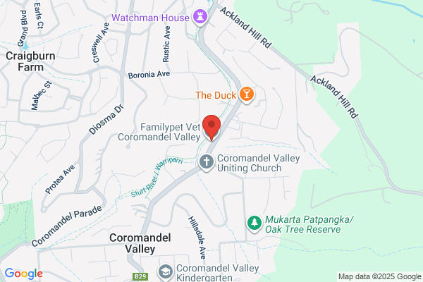 Coromandel Family Pet Vet