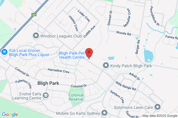 Bligh Park Dental