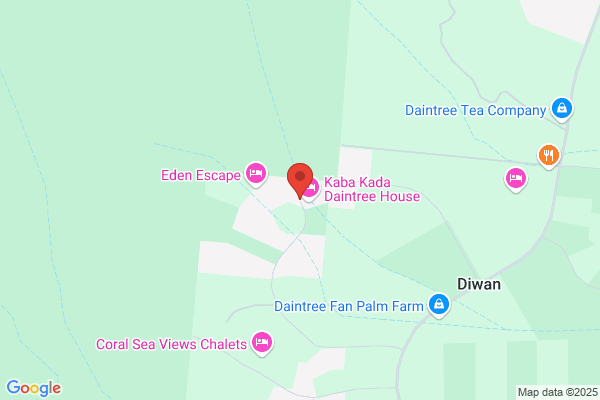 Daintree House & Garden ,Pool Maintenance