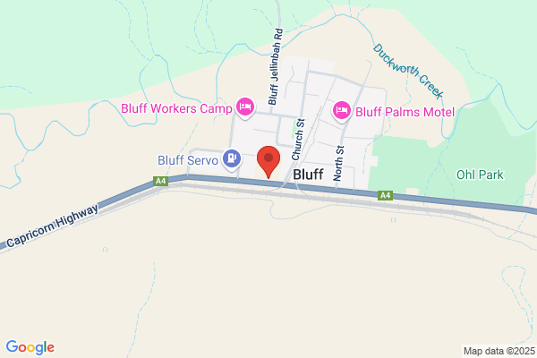 Bluff State School