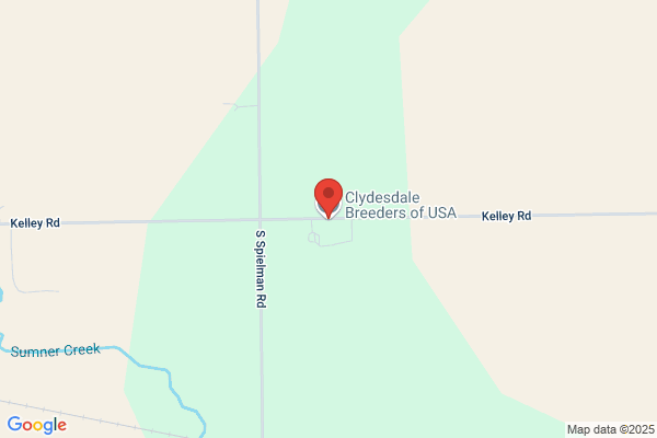 Clydesdale B & B