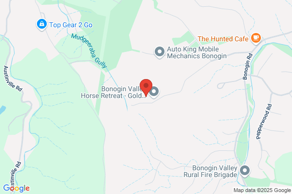 Horse Riding Hub