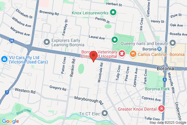 Catholic Archdiocese of Melbourne