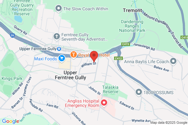 Gully Mechanical Repairs