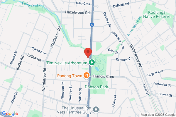 Hankin Automotive