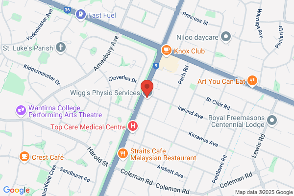 King Club Physiotherapy Centre