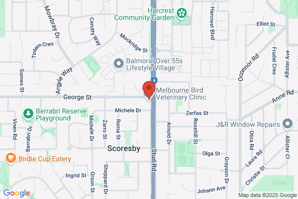 Knox Bird Veterinary Clinic