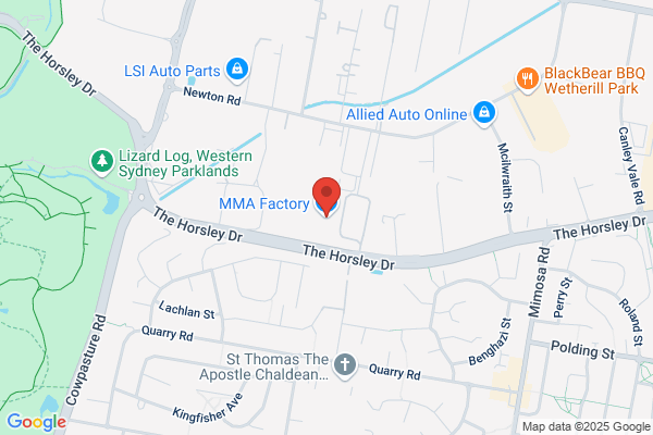 Action Martial Art Supplier