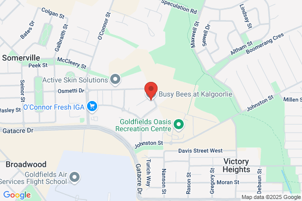 Busy Bees at Kalgoorlie