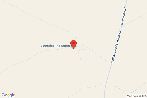 Coorabulka Station