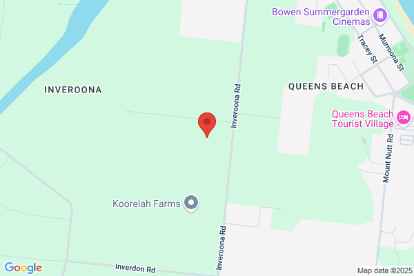 Bowen Wood Chipping