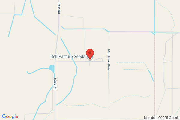 Bell Pasture Seeds
