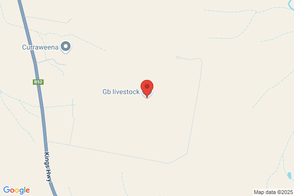 Braidwood Cattle Co