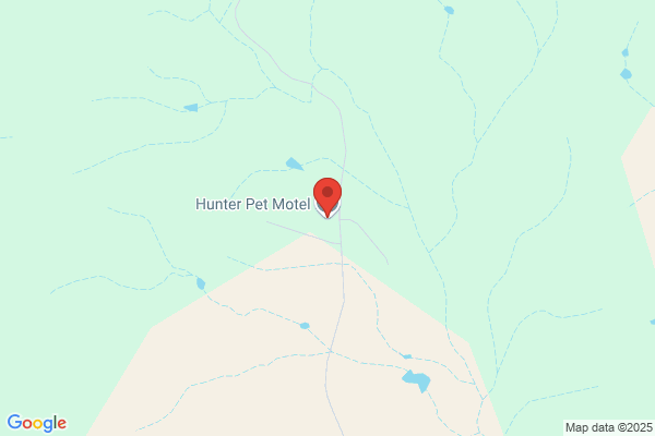 Kuirau Kennels