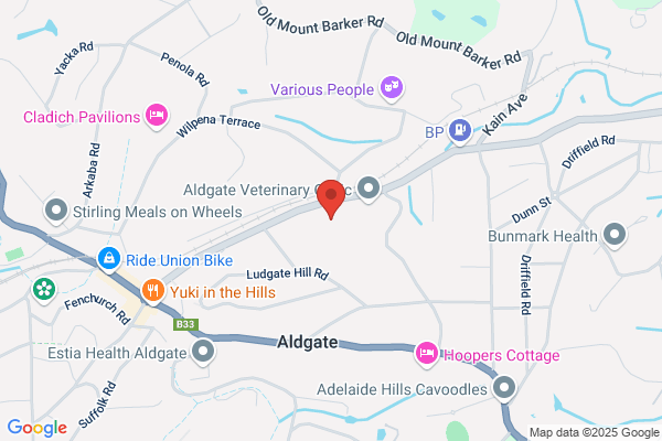 Aldgate Pump Sales & Service