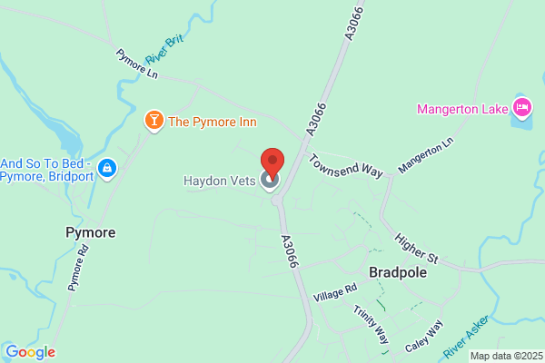 Bridport Hardware & Building Supplies