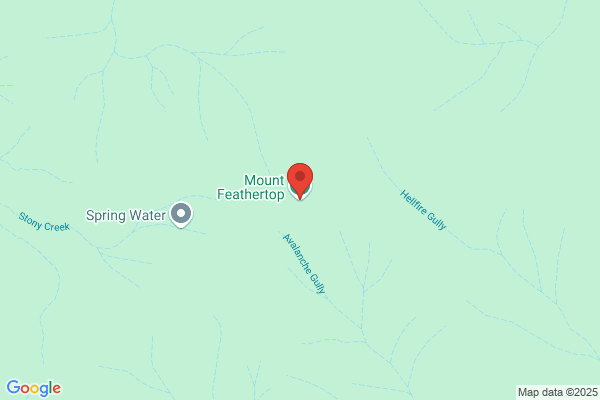 Feathertop Taxi & Tour