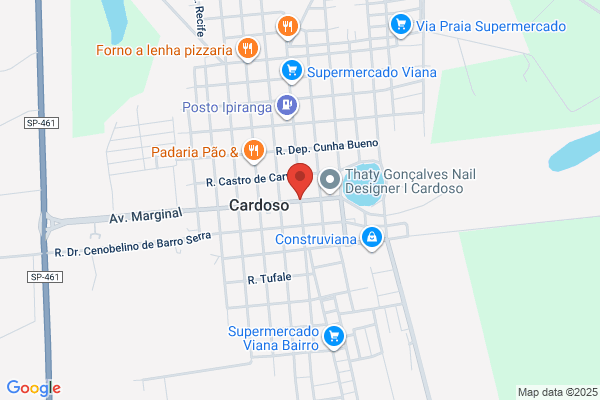 Cardoso C P