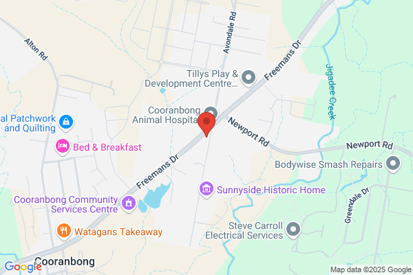 Cooranbong Denture Clinic