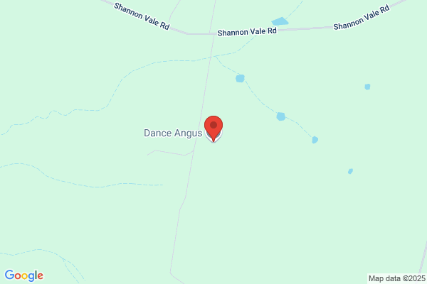 Dance Angus