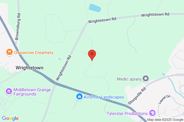 Chapman Jane Dr