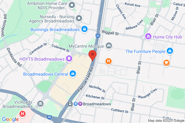 Fancy Fillings