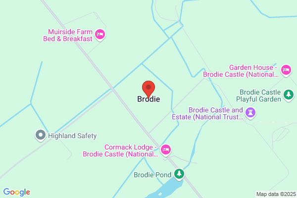 Brodie M O