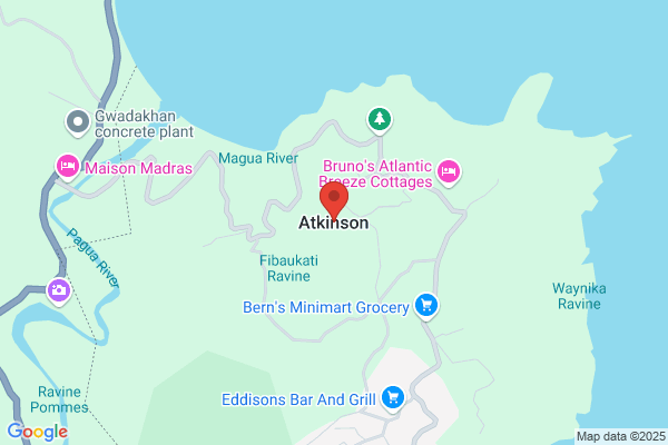 Atkinson K H