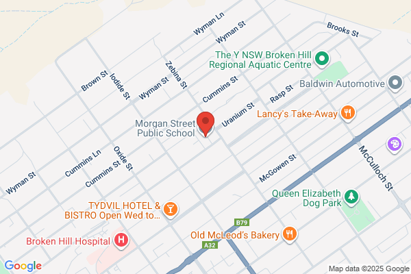 Morgan Street Public School