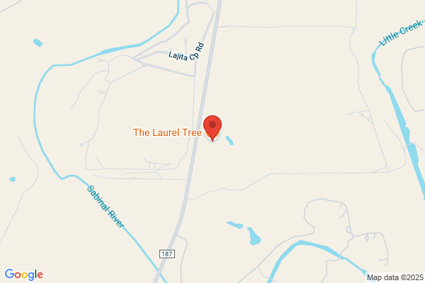 Laurel Tree The