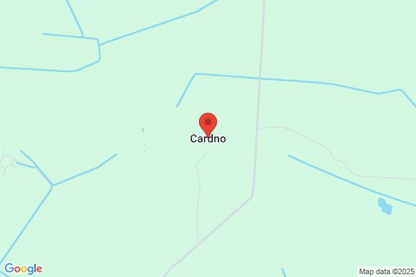 Cardno