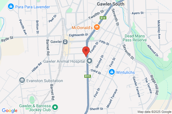 Gawler Antiques & Leadlighting