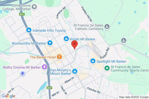 Hills Community Options Inc