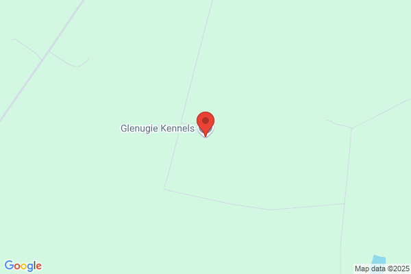 Gleninca Kennels