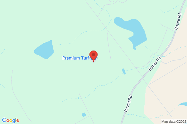 Premium Turf