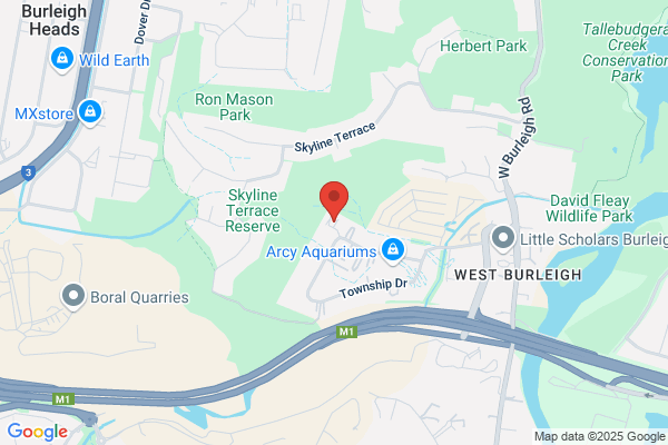 Gold Coast Arborists