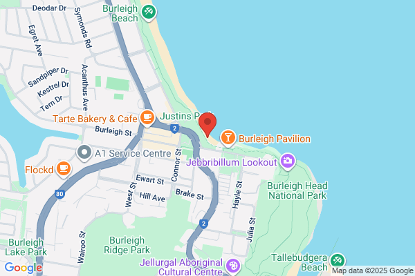 Global Surf Travel