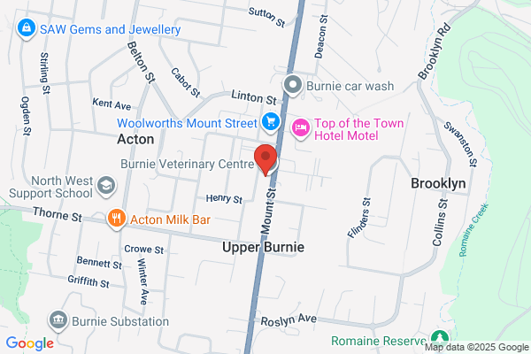 St Vincent De Paul Society