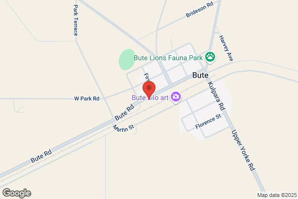 Bute Surgery