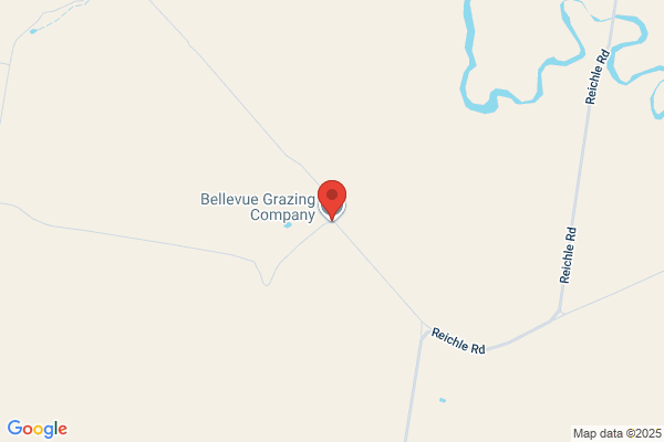 Bellevue Cattle Company