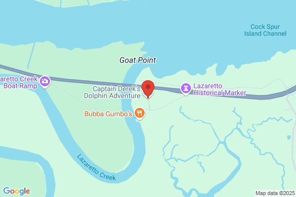 Dolphin Tours