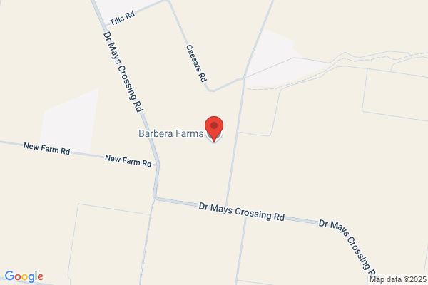 Barbera Family Farms