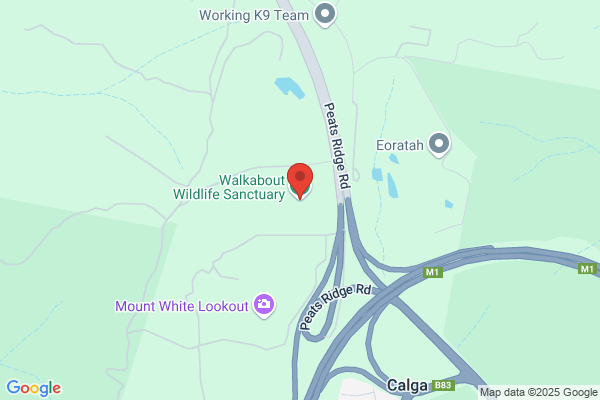 Calga Springs Sanctuary